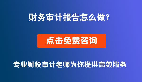 成都審計報告